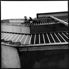 Pictures and portraits of Stanza 1983 - 2010. 