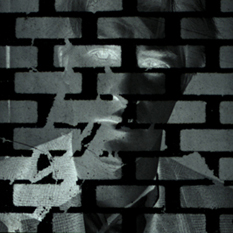 Stanza in 1982. Pictures and portraits of Stanza 1983 - 2010. Stanza is an internationally recognised artist, who has been exhibiting worldwide since 1984.