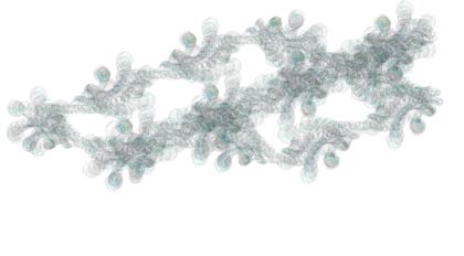 stanza biomorph