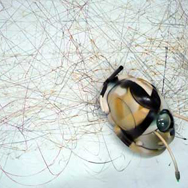 Stanza Robots. All artwork on this site by Stanza