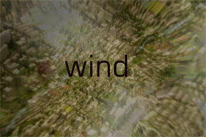Stanza wind image