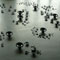 THE ARTISTS STUDIO AS LABORATORY FOR THE FUTURE: "TRANSPARENCY" 