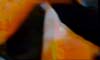 stanza_tresspasses5