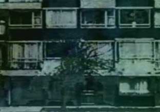 stanza image of video