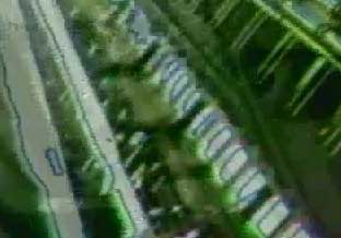 stanza image of video