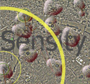 Sensity, sensing the city space.