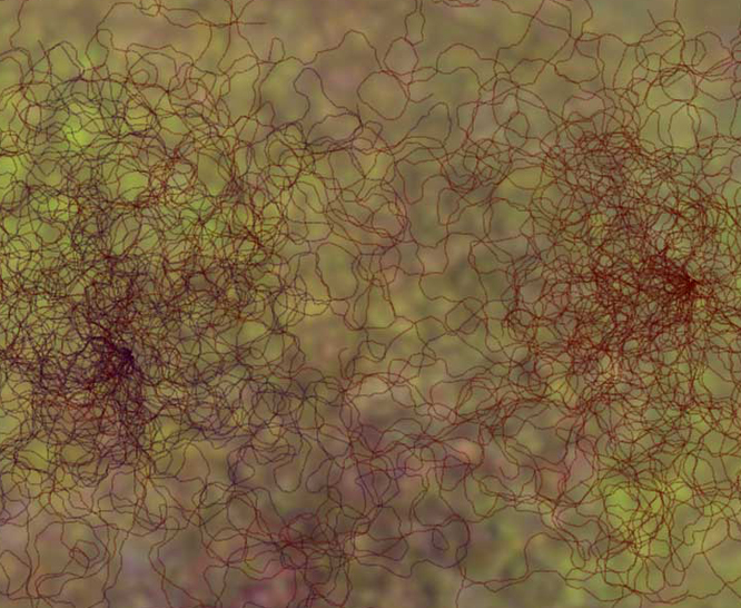 Stanza Generative Artwork