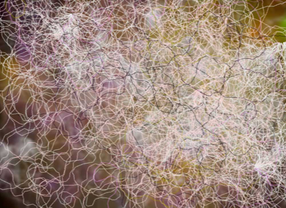 Digital generative artwork by Stanza