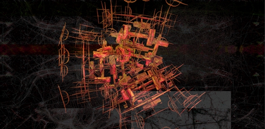 Computer viruses visualised as tropical disease.Three artworks:- Inference Cell , Multi Nodal Adaptation Cell and Multi Nodal Inference II Cell. 2008 