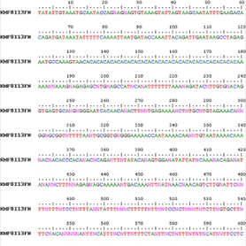 Gods Logic System: Code Made from Code Made from Blood Represented by Code. Made in 2004.