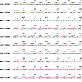 Gods Logic System: Code Made from Code Made from Blood Represented by Code. Made in 2004.