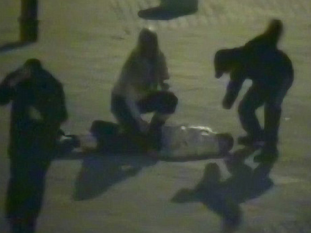 Title. Bulls N Bears. Size 160 by 120cm printed canvas. Artwork signed by Stanza. 