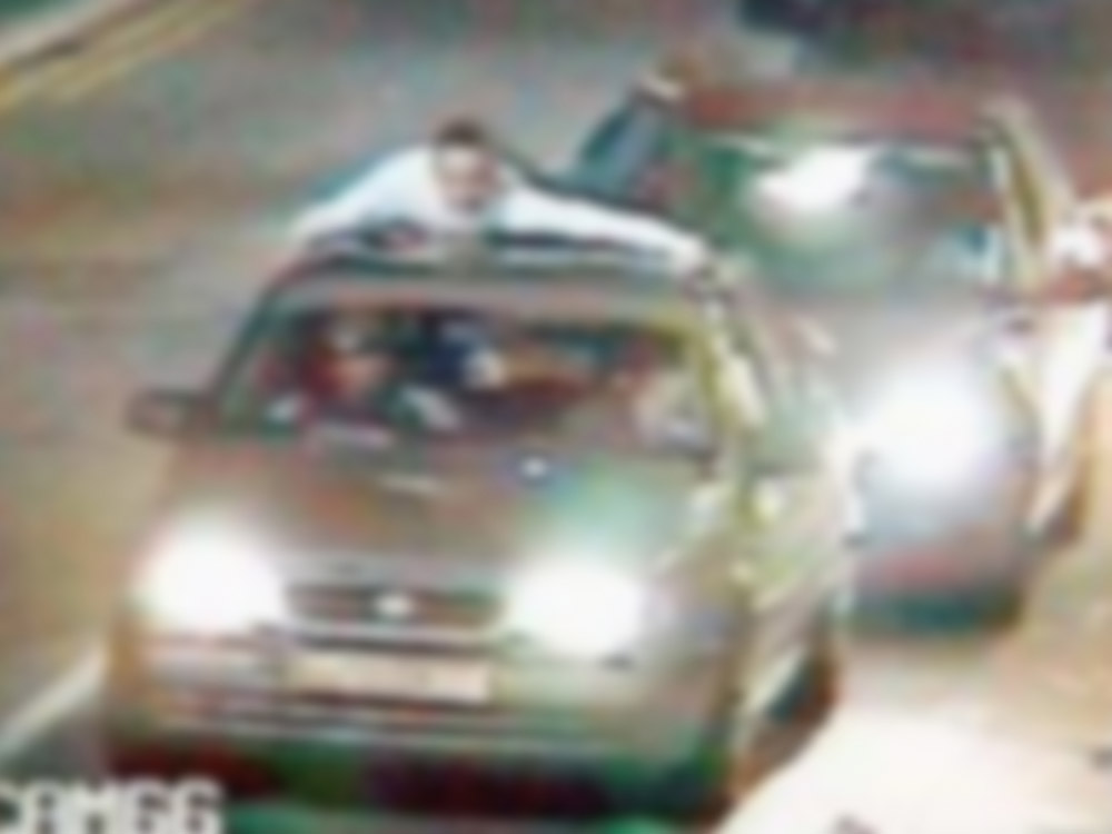 Stars Of CCTV. By Stanza 2008. Title. The Rise Of The Urban Surfer. Size 160 by 120cm printed canvas. Artwork signed by Stanza.