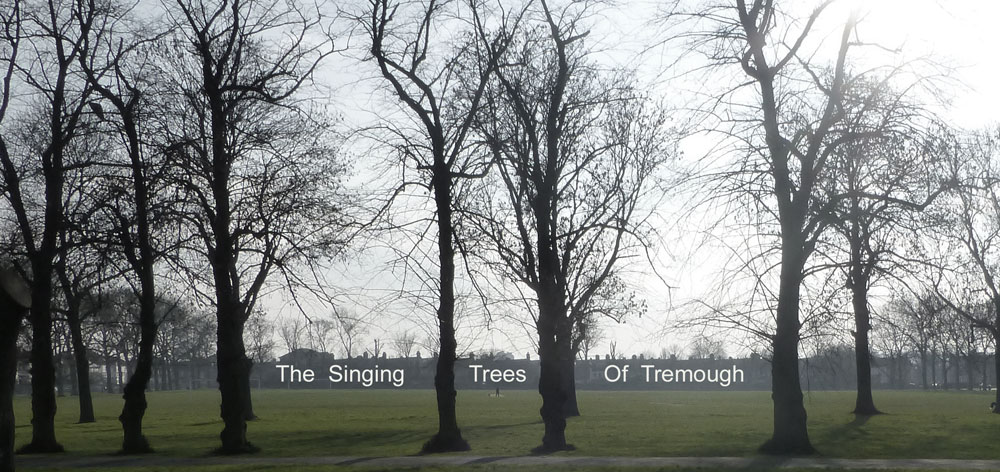 Stanza . The sounds of the invisible  in art. Steve Tanza