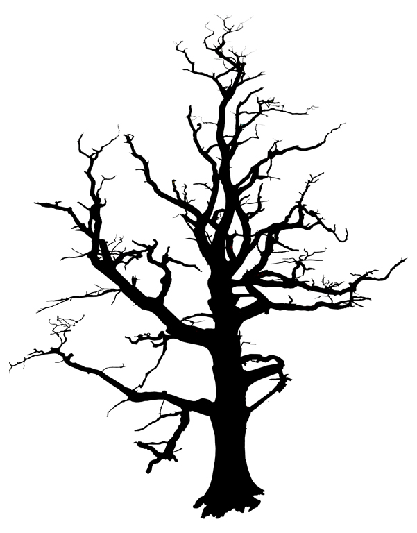 stanza tree copyright owned