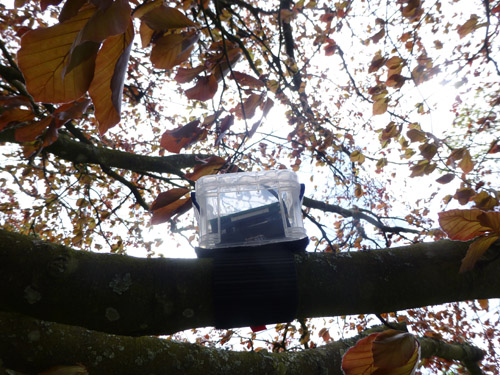sensors in a tree by stanza
